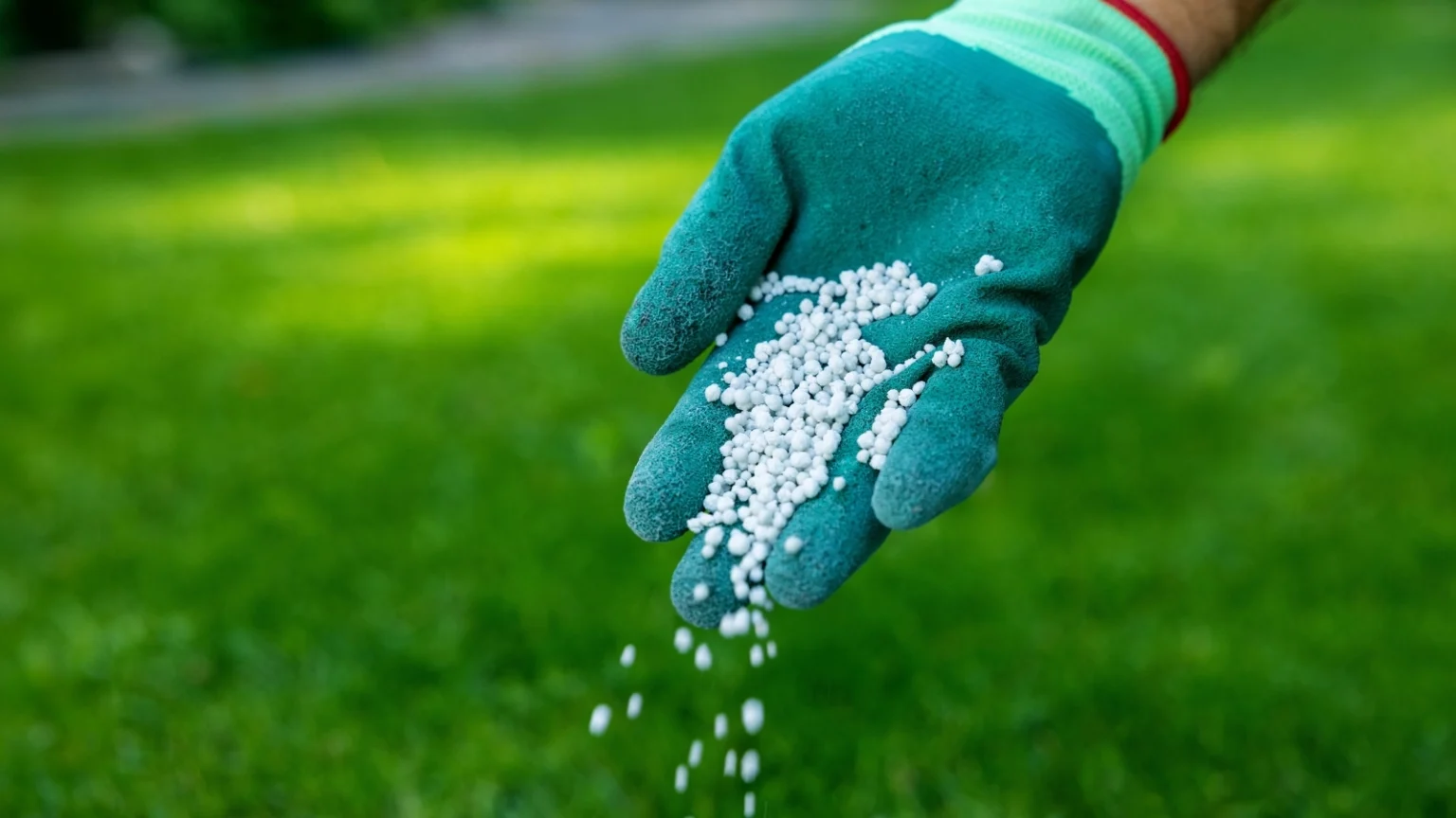 Hand-Spreading-Granular-Fertilizer-on-Grass-1536x864