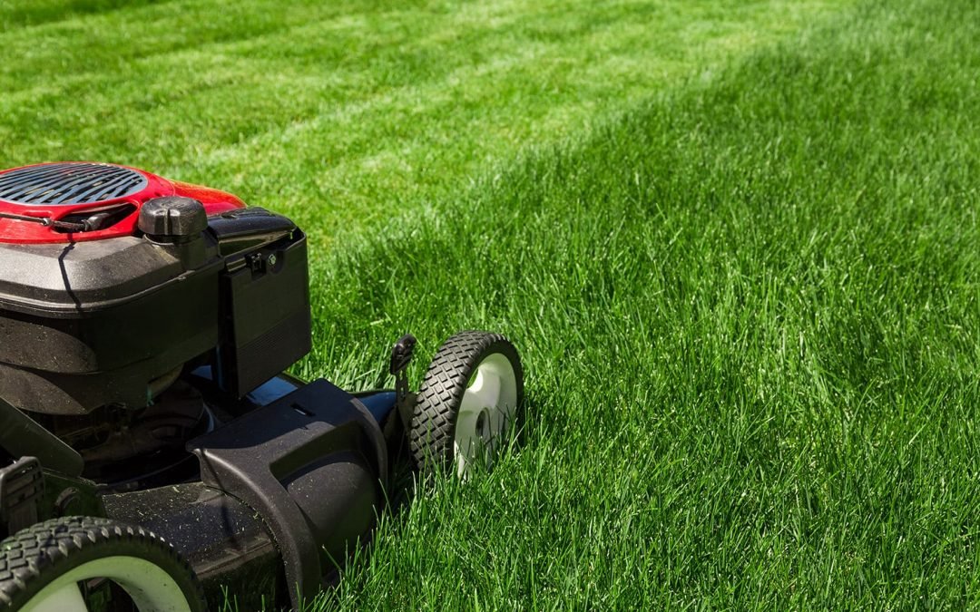 Lawn-Care-1080x675
