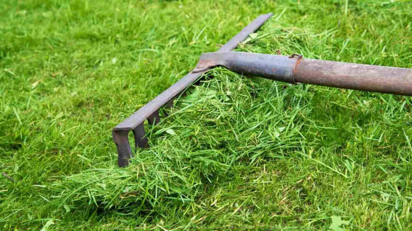 Raking-grass-clippings-1400x788