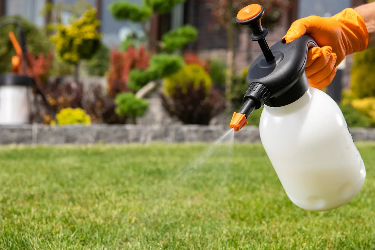 iStock-1458002588-how-to-safely-use-chemical-weed-killers-spraying-weed-killer