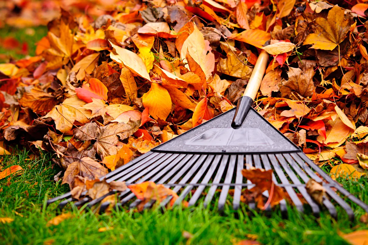 iStock-157996456
