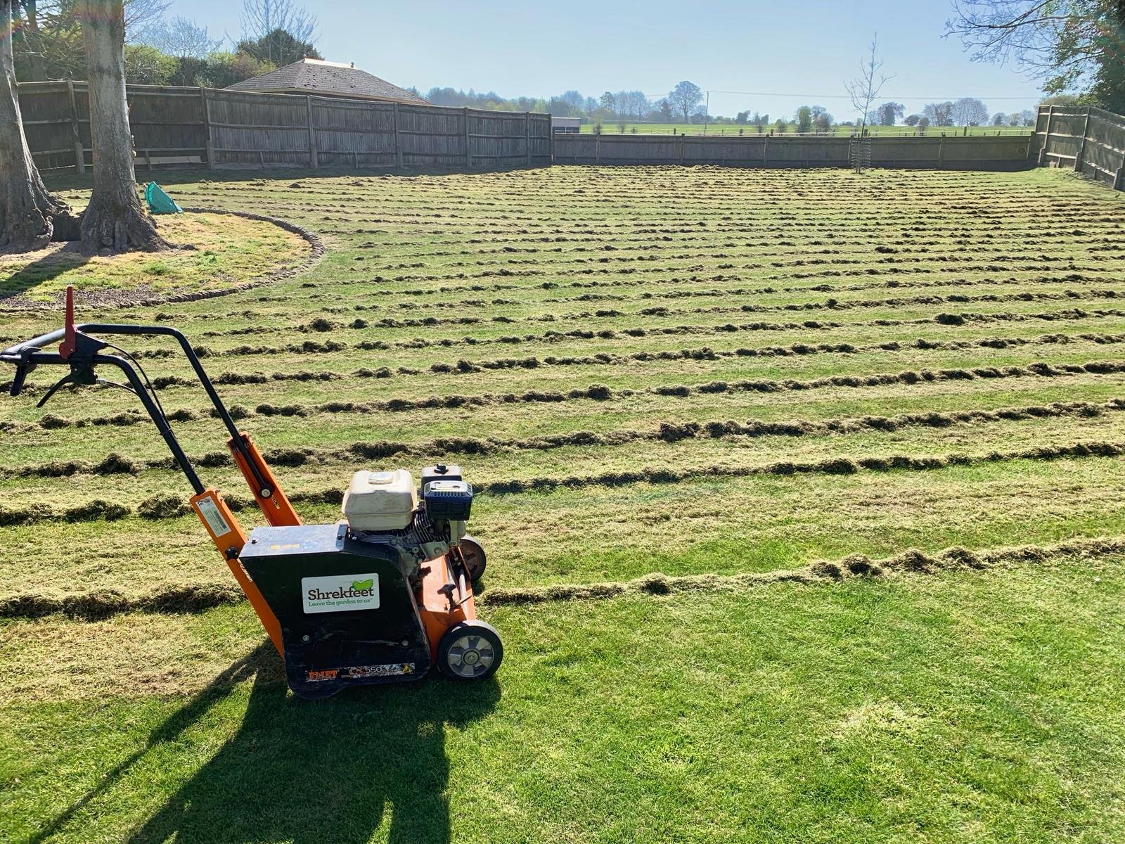 scarification-fine-turf-lawn